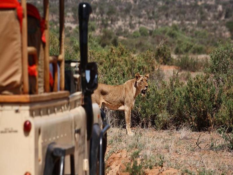 Saruni Samburu Exterior foto