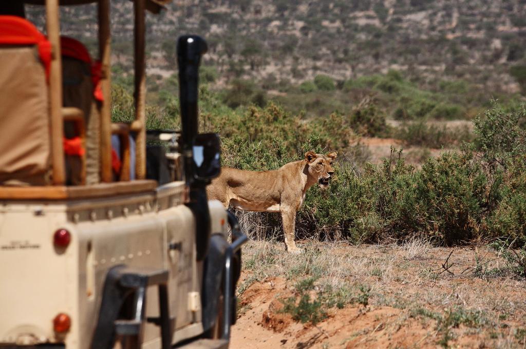 Saruni Samburu Exterior foto